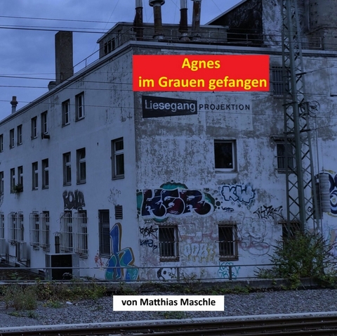 Agnes im Grauen gefangen - Matthias Maschle