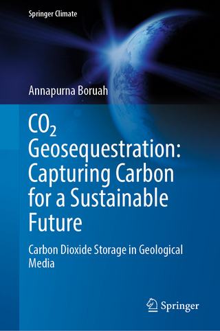 CO₂ Geosequestration: Capturing Carbon for a Sustainable Future