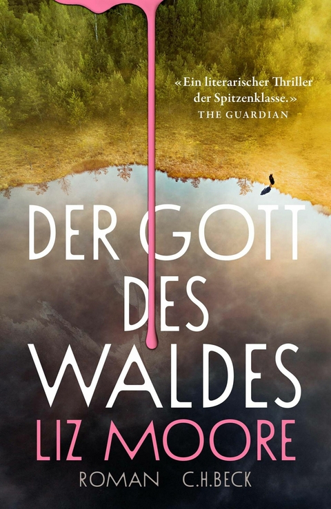 Der Gott des Waldes -  Liz Moore