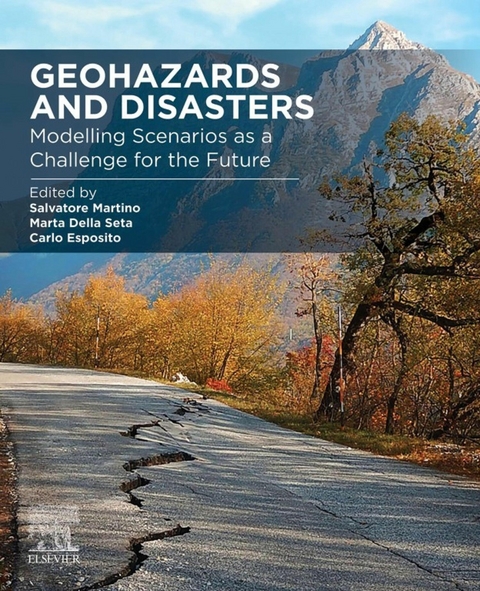 Geohazards and Disasters - 