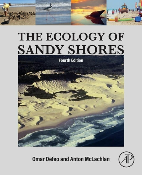 Ecology of Sandy Shores -  Omar Defeo,  Anton McLachlan