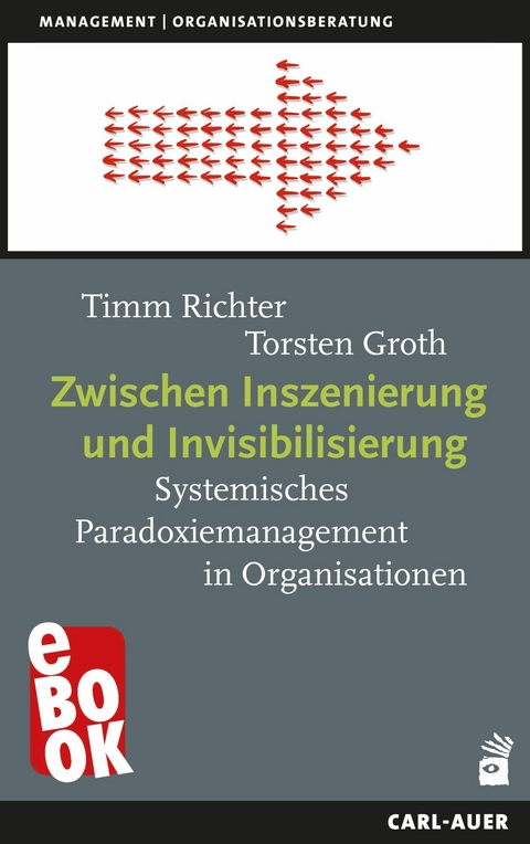 Zwischen Inszenierung und Invisibilisierung - Timm Richter, Torsten Groth