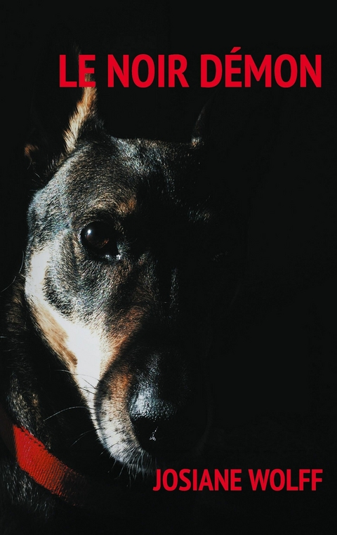 Le noir d&eacute;mon - Josiane Wolff