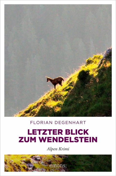 Letzter Blick zum Wendelstein - Florian Degenhart