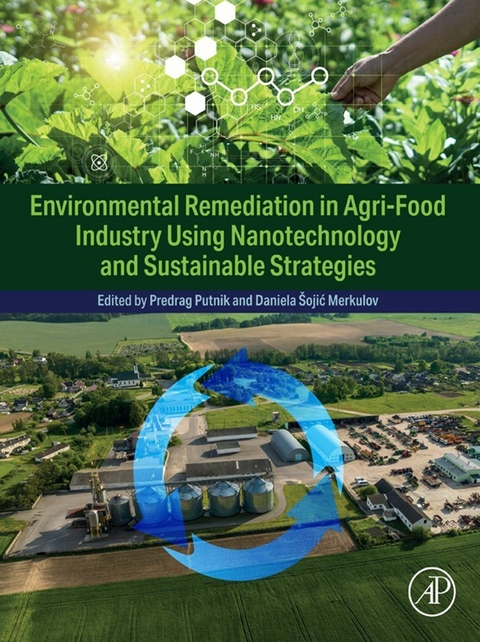 Environmental Remediation in Agri-Food Industry Using Nanotechnology and Sustainable Strategies - 