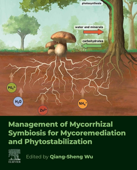 Management of Mycorrhizal Symbiosis for Mycoremediation and Phytostabilization - 