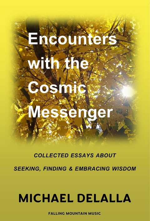 Encounters with the Cosmic Messenger -  Michael DeLalla