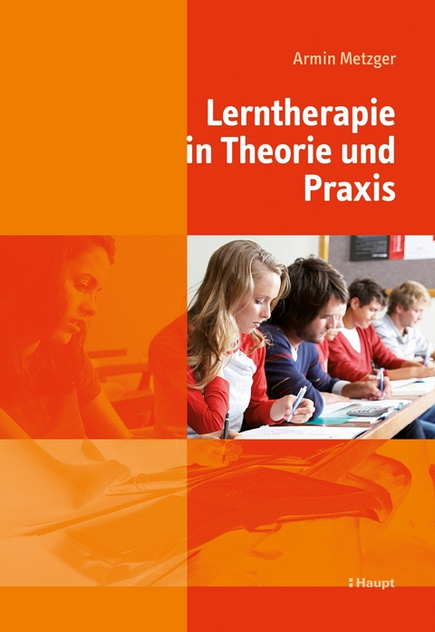 Lerntherapie in Theorie und Praxis -  Armin Metzger