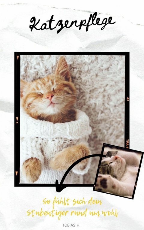 Katzenpflege - so f&uuml;hlt sich dein Stubentiger rund um wohl - Tobias Hopfm&uuml;ller