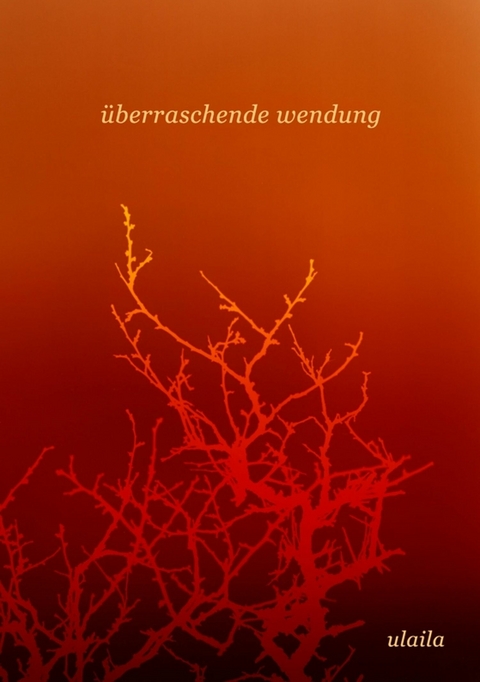 &uuml;berraschende wendung - . Ulaila