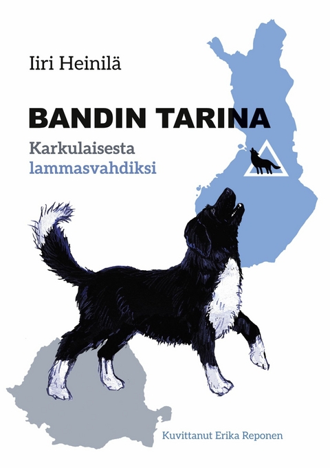 Bandin tarina - Iiri Heinilä