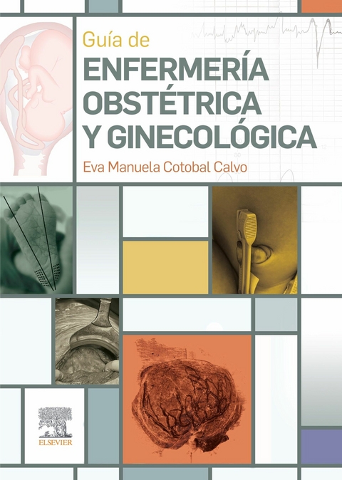 Gu&iacute;a de enfermer&iacute;a obst&eacute;trica y ginecol&oacute;gica -  Eva Manuela Cotobal Calvo
