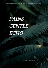 Pains gentle echo - wouter bouduin