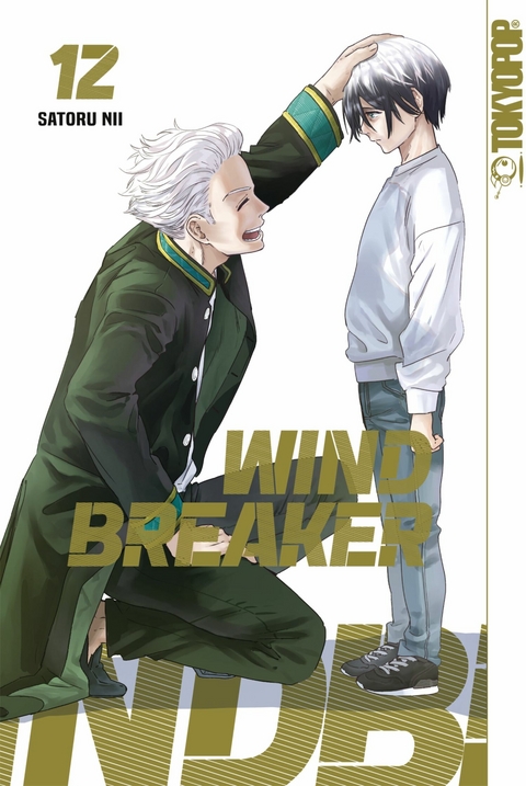 Wind Breaker, Band 12 -  Satoru Nii