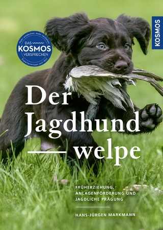 Der Jagdhundwelpe
