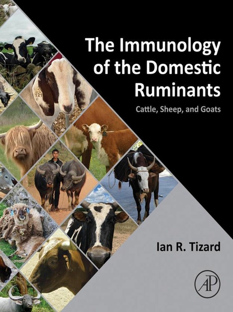 Immunology of the Domestic Ruminants -  Ian R. Tizard