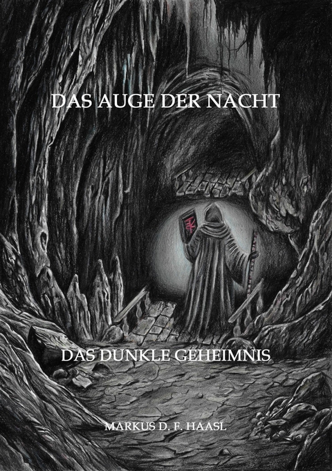 Das Auge der Nacht - Markus D. F. Haasl