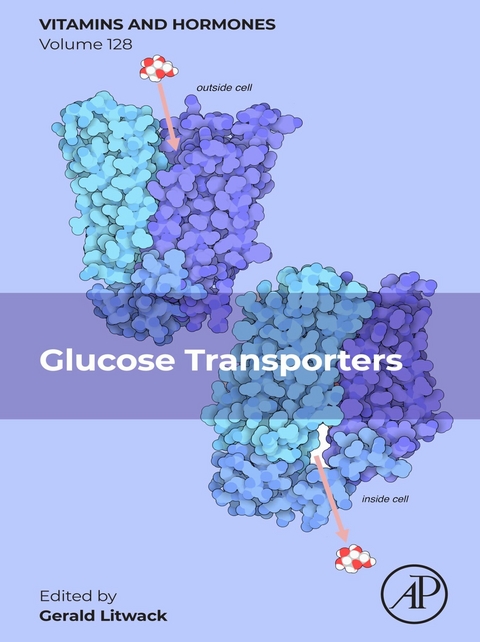 Glucose Transporters