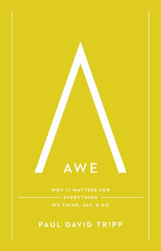 Awe (with Study Questions)