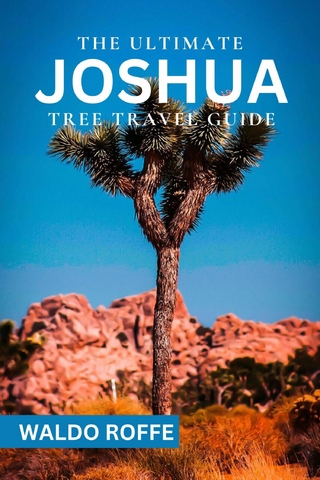 The Ultimate Joshua Tree Travel Guide