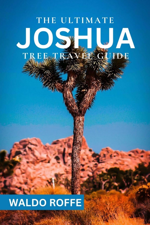 The Ultimate Joshua Tree Travel Guide -  WALDO ROFFE