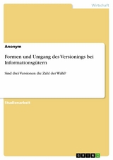 Formen und Umgang des Versionings bei Informationsg&uuml;tern
