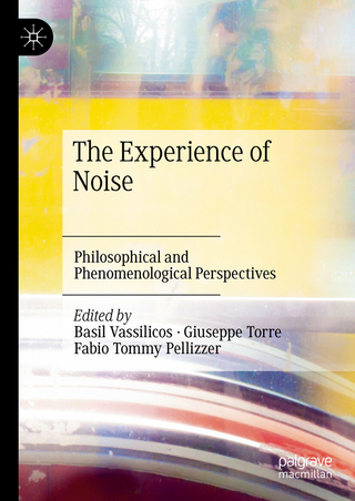 The Experience of Noise