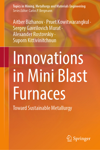 Innovations in Mini Blast Furnaces