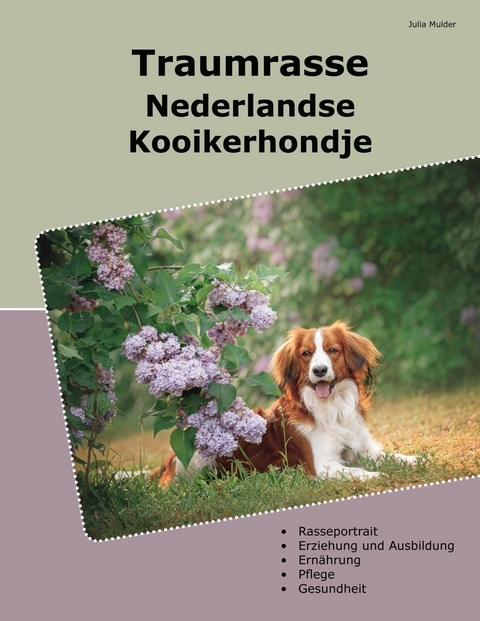 Traumrasse Nederlandse Kooikerhondje -  Julia Mulder