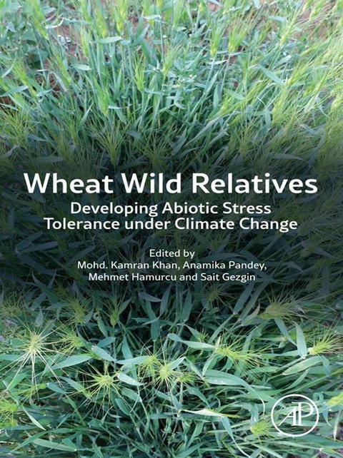 Wheat Wild Relatives - 