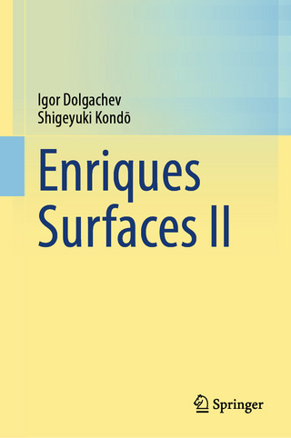 Enriques Surfaces II