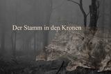 Der Stamm in den Kronen - Maymilly Nowak