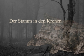 Der Stamm in den Kronen