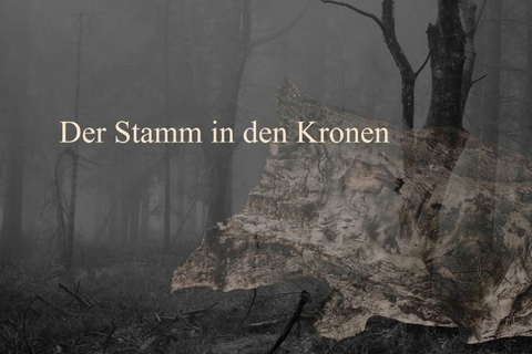 Der Stamm in den Kronen - Maymilly Nowak
