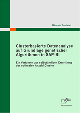 Clusterbasierte Datenanalyse auf Grundlage genetischer Algorithmen in SAP-BI - Hüseyin Bostanci