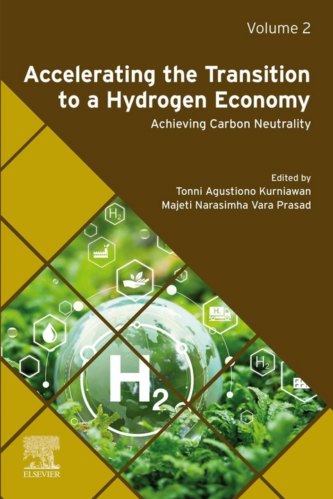 Accelerating the Transition to a Hydrogen Economy - 