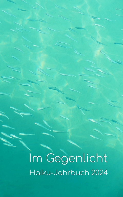 Im Gegenlicht - Volker Friebel