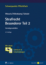 Strafrecht Besonderer Teil/2 - Jan C. Schuhr