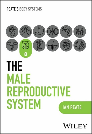 The Male Reproductive System