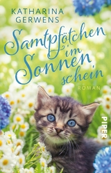 Samtpfötchen im Sonnenschein - Katharina Gerwens