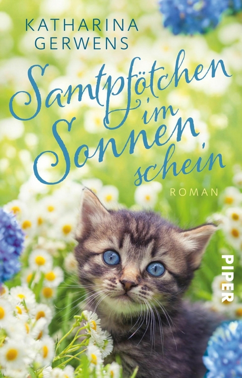 Samtpfötchen im Sonnenschein - Katharina Gerwens