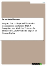 Amparo Proceedings and Normative Contradiction in Mexico 2025. A Fuzzy-Bayesian Model to Evaluate the Exclusion of Amparo and Its Impact on Human Rights - Carlos Medel-Ramírez