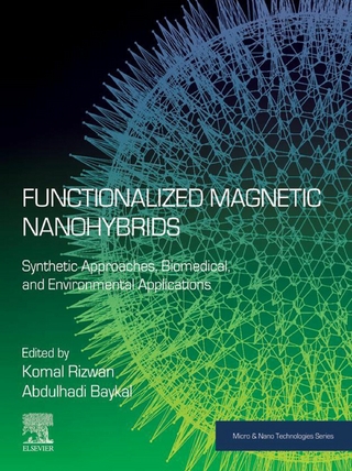 Functionalized Magnetic Nanohybrids