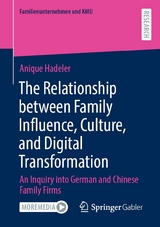 The Relationship between Family Influence, Culture, and Digital Transformation -  Anique Hadeler