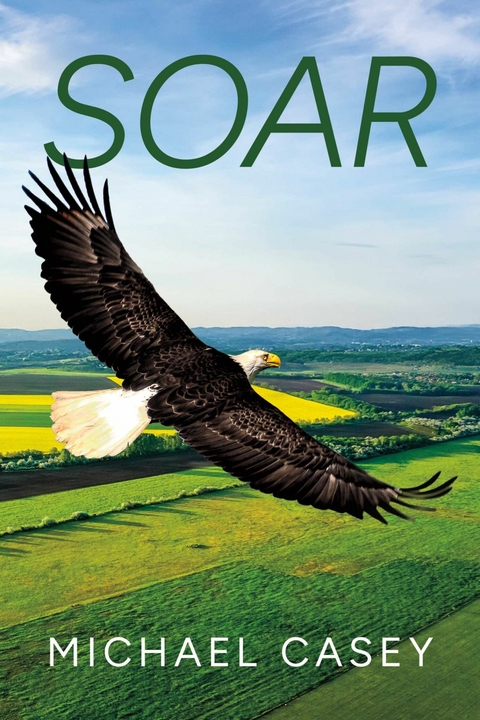Soar -  Michael Casey