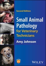 Small Animal Pathology for Veterinary Technicians - Amy Johnson