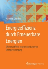 Energieeffizienz durch Erneuerbare Energien -  Matthias Günther