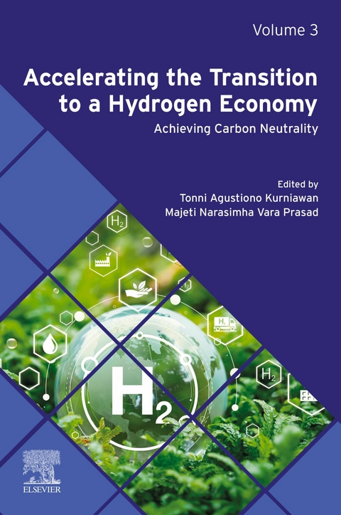 Accelerating the Transition to a Hydrogen Economy - 