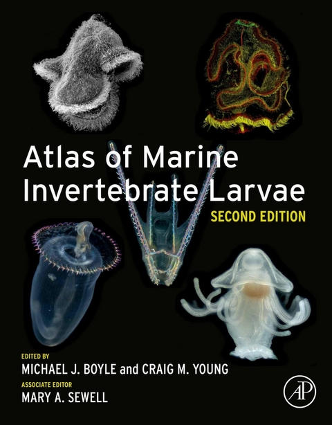 Atlas of Marine Invertebrate Larvae - 