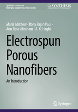 Electrospun Porous Nanofibers - Maria Mathew, Rony Rajan Paul, Ann Rose Abraham, A. K. Haghi